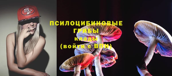 PSILOCYBIN Абаза