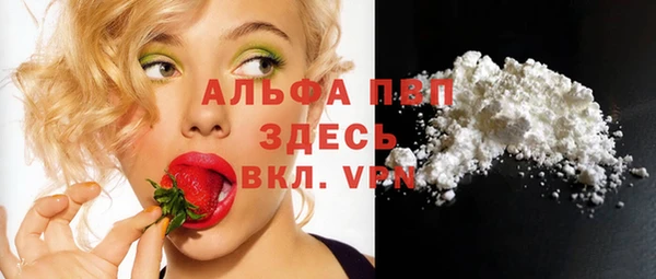 PSILOCYBIN Абаза
